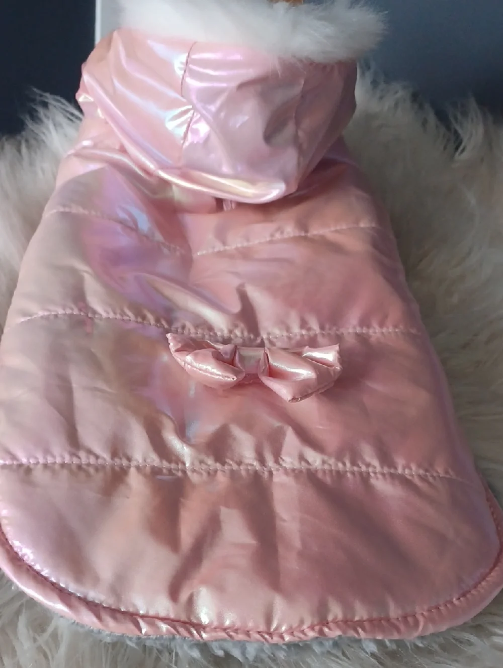 Small Dog Iridescent Outfit